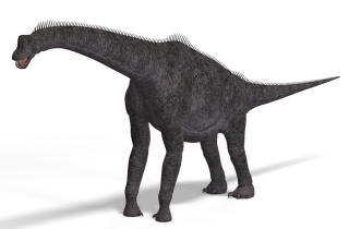 Brachiosaurus