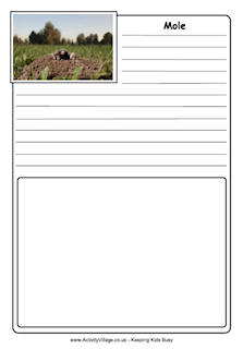 British Wildlife Notebooking Pages