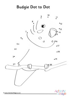 Budgie Puzzles