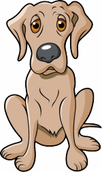 Doctor Dog