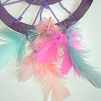 Dreamcatcher detail - feathers