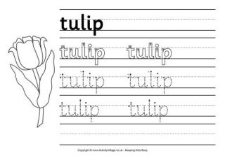 Flower Worksheets
