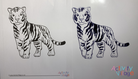 The traced tiger image