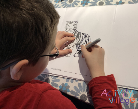 Tracing over the Chinese New Year tiger colouring page