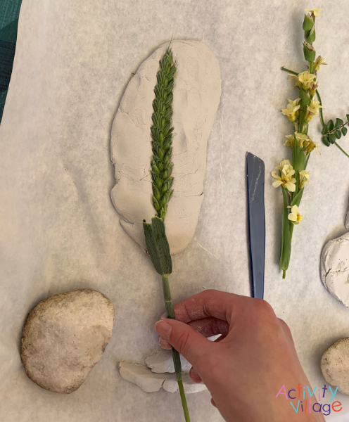 Pressing the leaves into clay