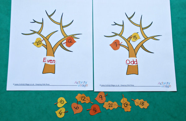 Odd and even numbered tree