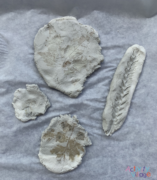 The clay after we removed the flowers and leaves (before it has dried out)