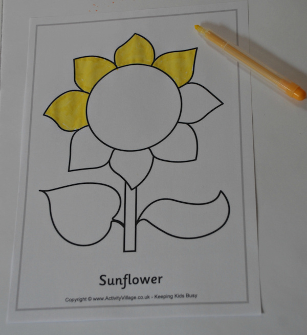 Sunflower colouring page