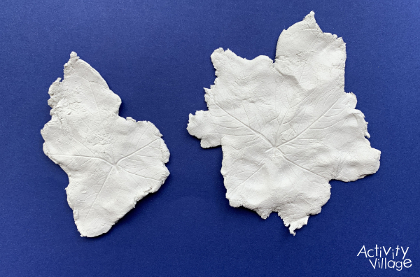 Leaf images in clay