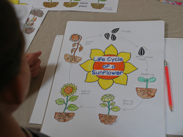 Adding words to her poster