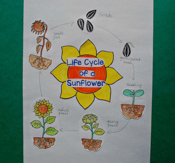 One of our finished posters