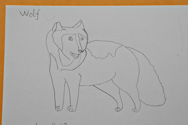 The finished wolf drawing