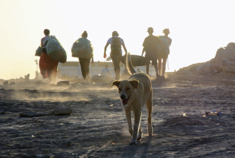 Beach cleaning
