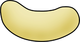 honey_bee_egg