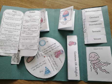 The finished inside of our jellyfish lapbook