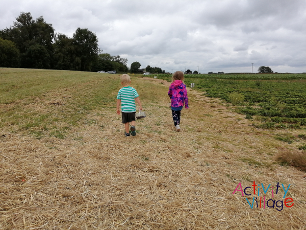 Budget Summer Holiday Activities