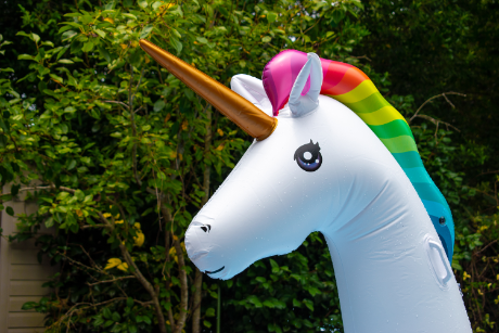Unicorn Birthday Party Ideas