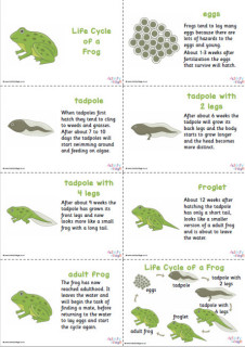 Life Cycle Slideshows