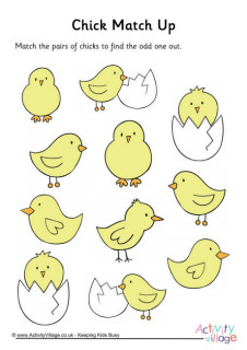 More Bird Puzzles