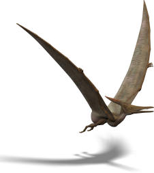 Pteranodon