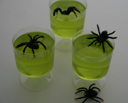 Spider jelly