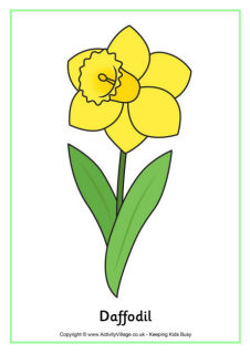 St David's Day Posters
