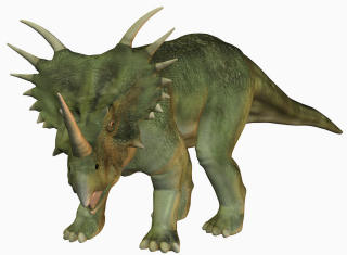 Styracosaurus